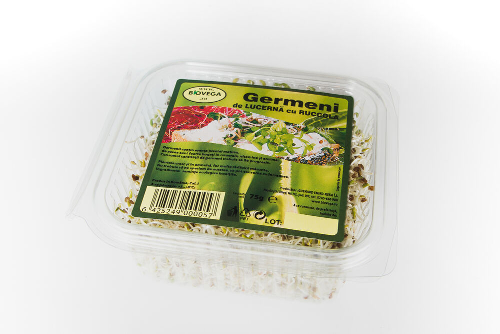 Lucernă cu rucola